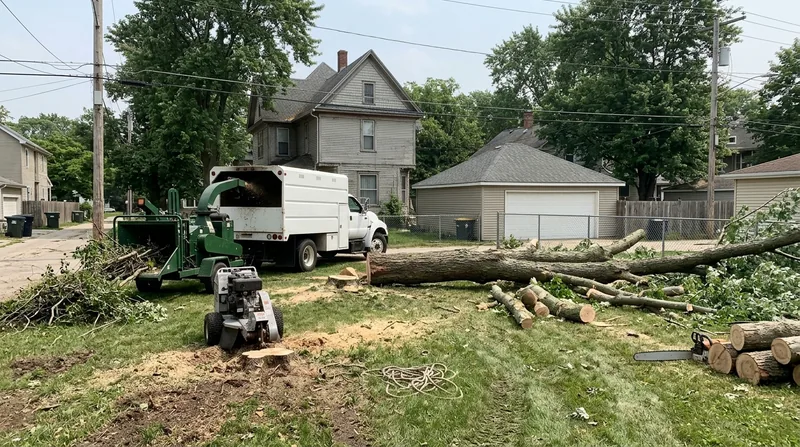Tree Removal Elgin